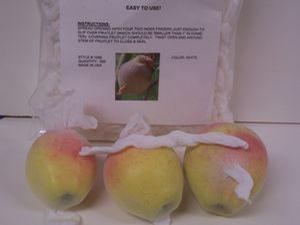 Maggot Barriers for Apple, Pears, and other fruit