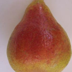 Pear