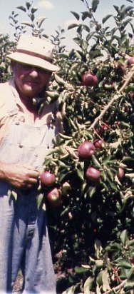 Without proper soil preparation, Grandpa never would have grown apples like these! Without proper soil preparation, Grandpa never would have grown apples like these!