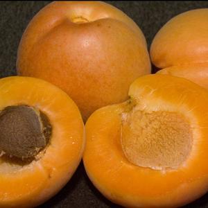 Flavor Delight Aprium is a cross between an apricot and a plum. Maybe called an aprium because is resembles an apricot more than a plum. Flavor Delight Aprium is a cross between an apricot and a plum. Maybe called an aprium because is resembles an apricot more than a plum.
