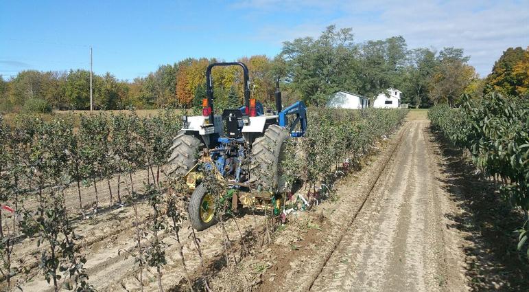 How Grandpa Harvests and Stores Fruit Trees