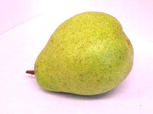 Variety Feature: Kieffer Pears