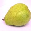 Variety Feature: Kieffer Pears