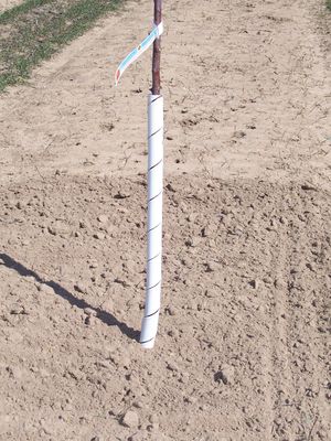 Spiral Tree Protectors - Plastic Spiral Tree Protectors (24 inches long) Spiral Tree Protectors - Plastic Spiral Tree Protectors (24 inches long)