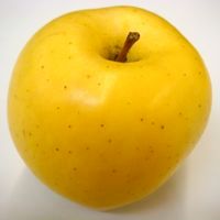 Malus domestica Blondee® - Blondee® Apple