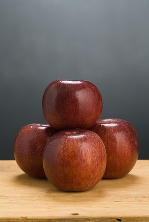 Malus domestica WineCrisp™ 'Co-op 31' - WineCrisp™ 'Co-op 31' Apple Malus domestica WineCrisp™ 'Co-op 31' - WineCrisp™ 'Co-op 31' Apple