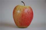 Malus domestica Chenango Strawberry - Chenango Strawberry Apple Malus domestica Chenango Strawberry - Chenango Strawberry Apple
