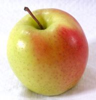Malus domestica Early Golden Del - Carnefix cv. - Early Golden Delicious Apple Malus domestica Early Golden Del - Carnefix cv. - Early Golden Delicious Apple