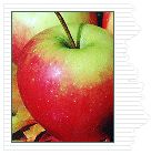 Malus domestica Swiss Gourmet-Arlet - Swiss Gourmet™ Apple