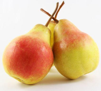 Pyrus communis Harrow Crisp - Harrow Crisp Pear Pyrus communis Harrow Crisp - Harrow Crisp Pear