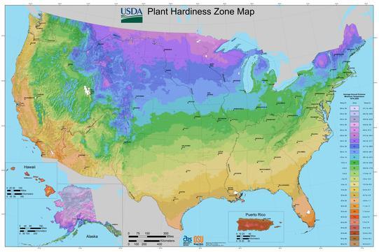 Micro-Climates and Hardiness Zones