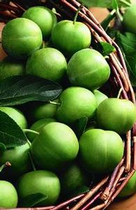 Green Gage Plum