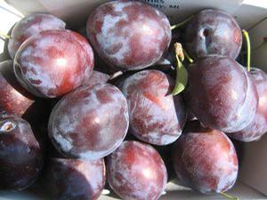 President Plum
