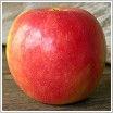 Wealthy Apple