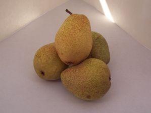 Luscious Pear