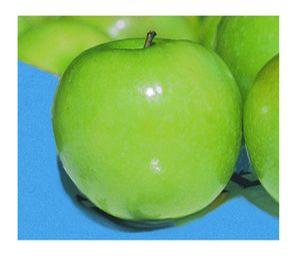 Granny Smith Apple