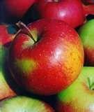 Smokehouse Apple