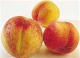 Golden Jubilee Peach--- A real heirloom!