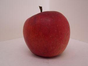 Kogetsu Apple