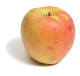 Spigold Apple