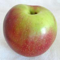 Opalescent Apple
