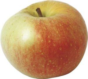 Ozark Gold Apple