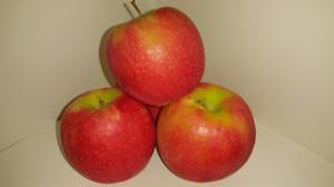 Pink Lady (R) Brand Apple