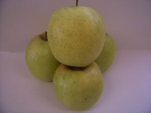 Shizuka Apple