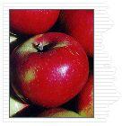 Akane Apple