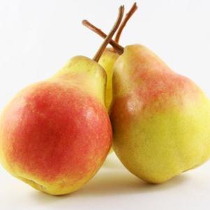 Harrow Crisp Pear