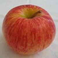 Duchess Apple