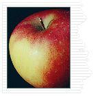 Valstar™ Elstar Apple