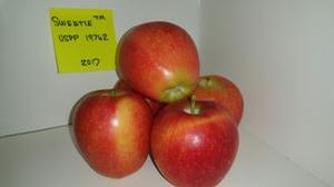 Sweetie(TM) Apple