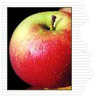 Fameuse Apple