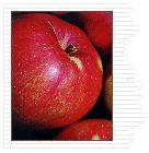 Molly's Delicious Apple