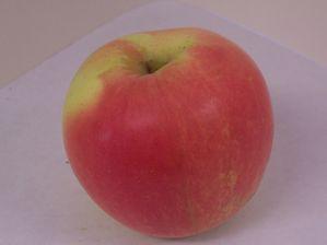Winter Banana Apple