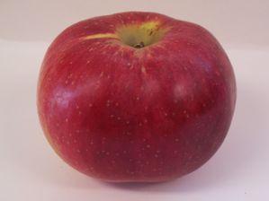 Wolf River Apple