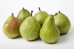 Potomac Pear